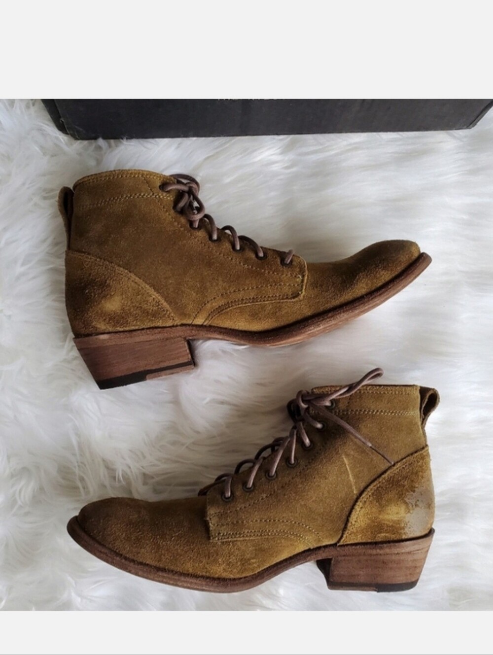 NIB Frye Carson Lace-Up Leather Boot, Khaki/ Green, Size 6